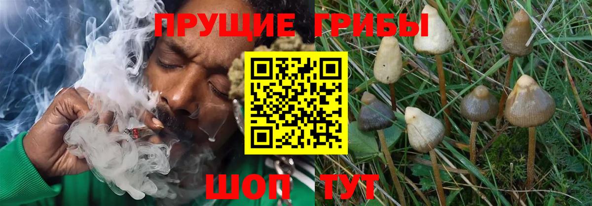 Псилоцибиновые грибы Magic Shrooms Снежинск