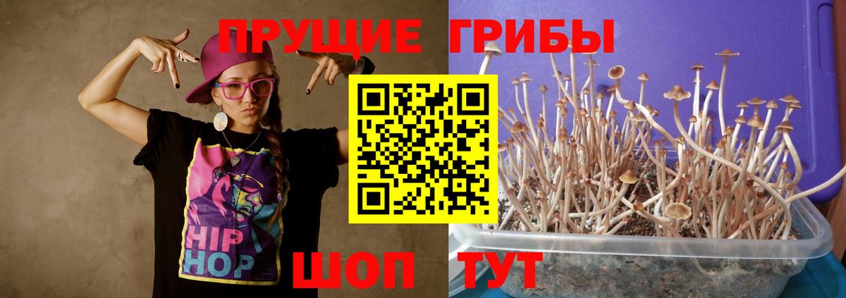 Снежинск  Галлюциногенные грибы Cubensis  Галлюциногенные грибы MAGIC MUSHROOMS  Вход с VPN 
